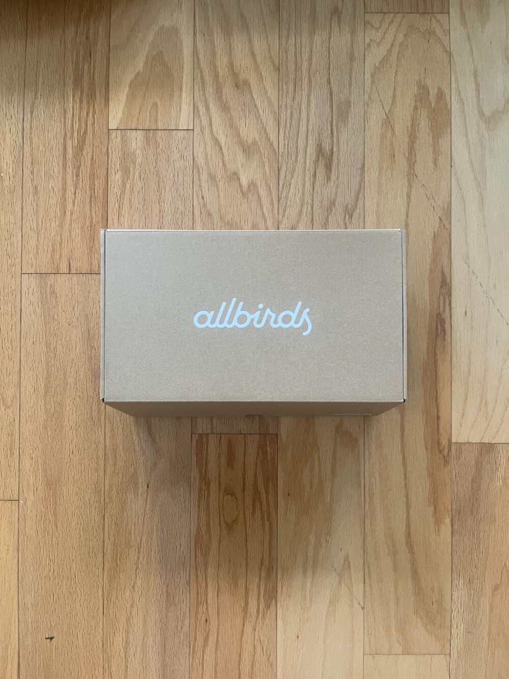 NEW!!! allbirds indoor/outdoor slippers